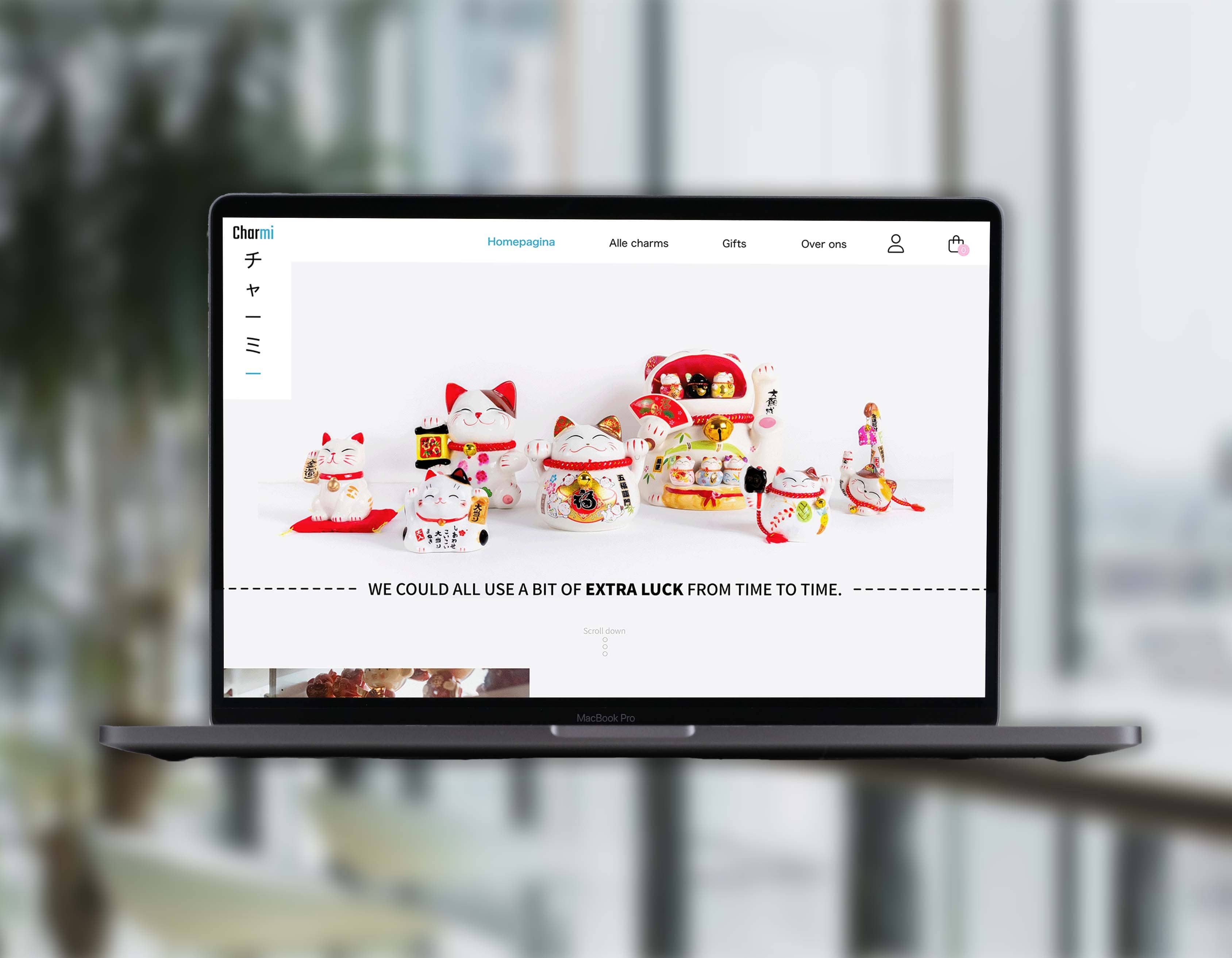 My BMS app inlog scherm version 1